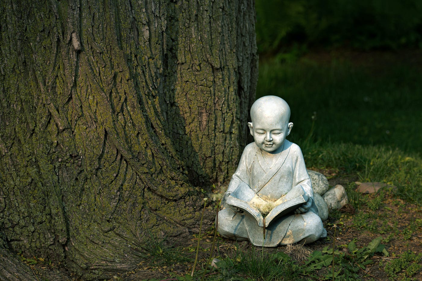 Buddha statue at the base of a tree